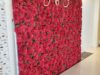 red-rose-flower-wall-rental