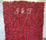 red-rose-flower-wall